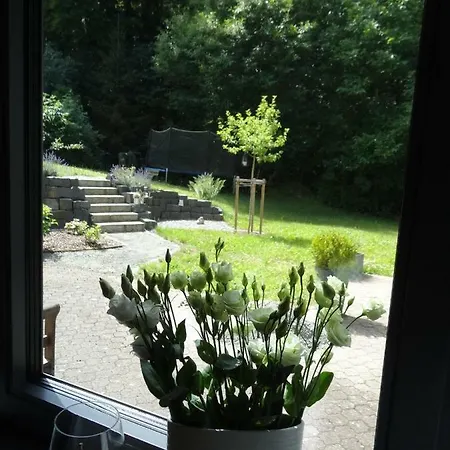 Stadt Und Wald *